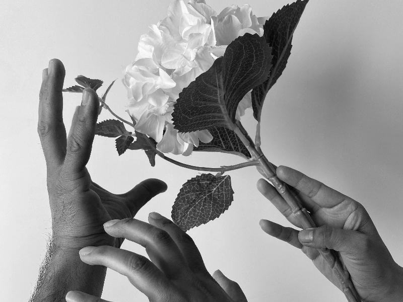 繼承人可以不按照遺囑指定的方法分割遺產嗎？