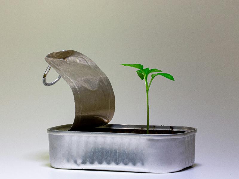 青年創業貸款應該提高申請年齡上限